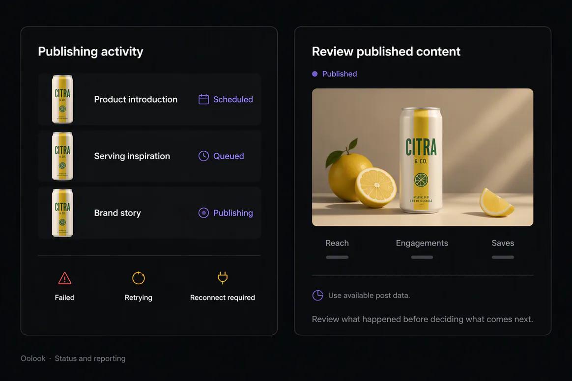 Oolook social publishing queue and available performance reports