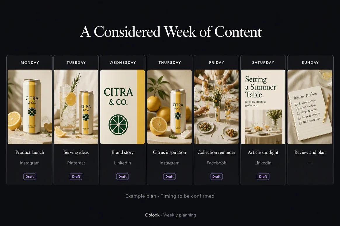 Oolook displaying a weekly social publishing plan