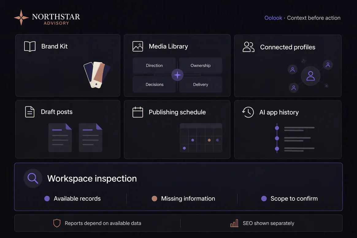 Oolook Copilot inspecting available information in a brand workspace