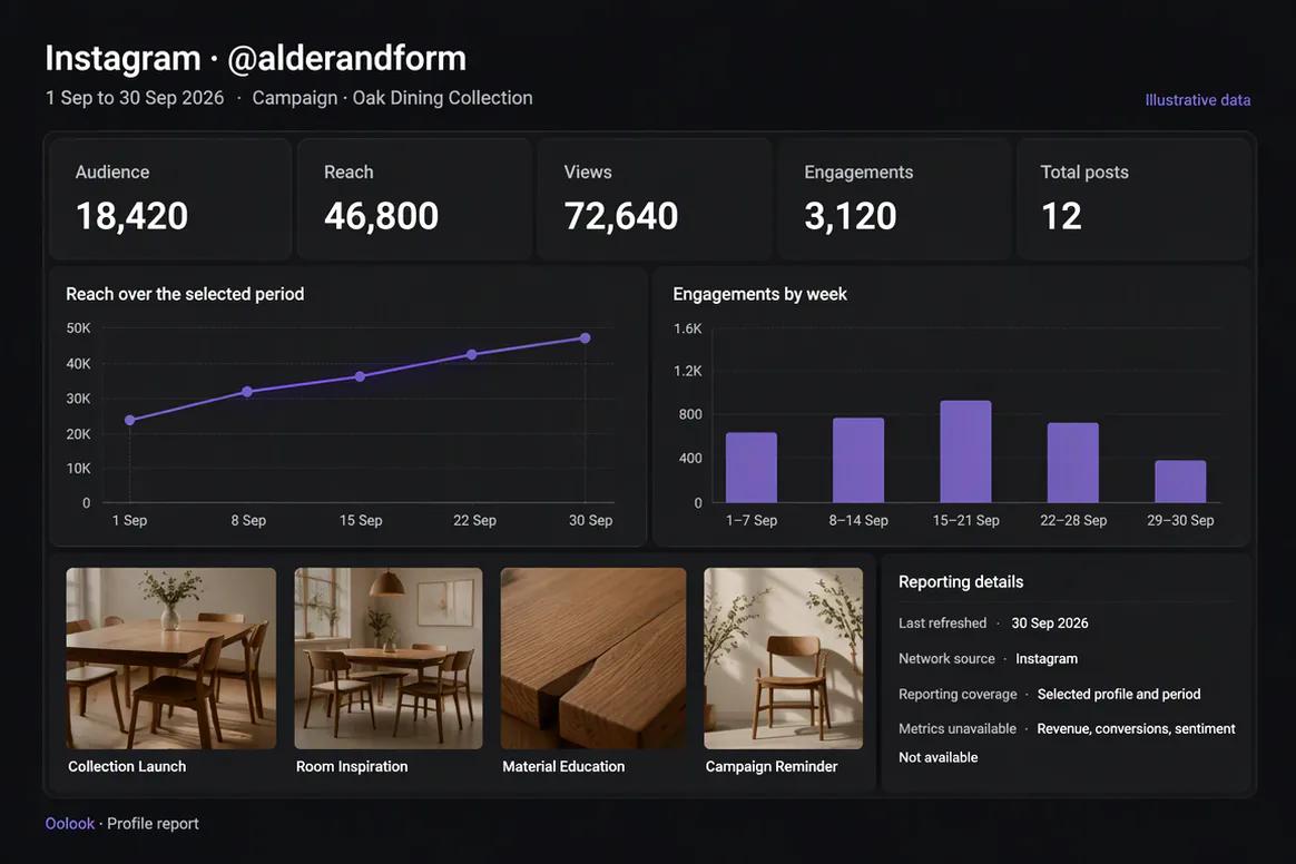 Oolook displaying an available social profile report